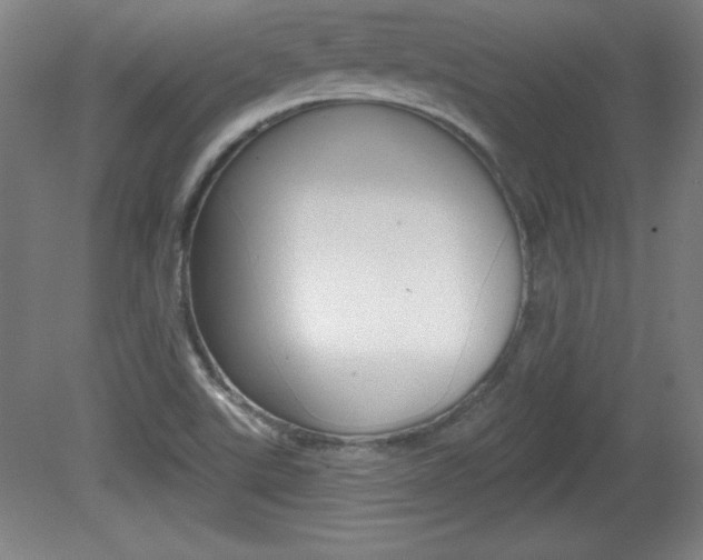 X0000081601507200701151040