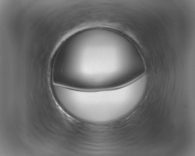 X0000081601508200701151040