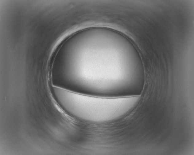 X0000081601511200701151040