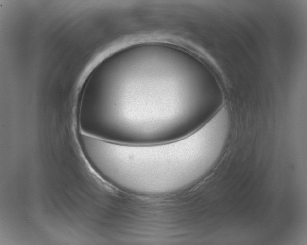 X0000081601512200701151040