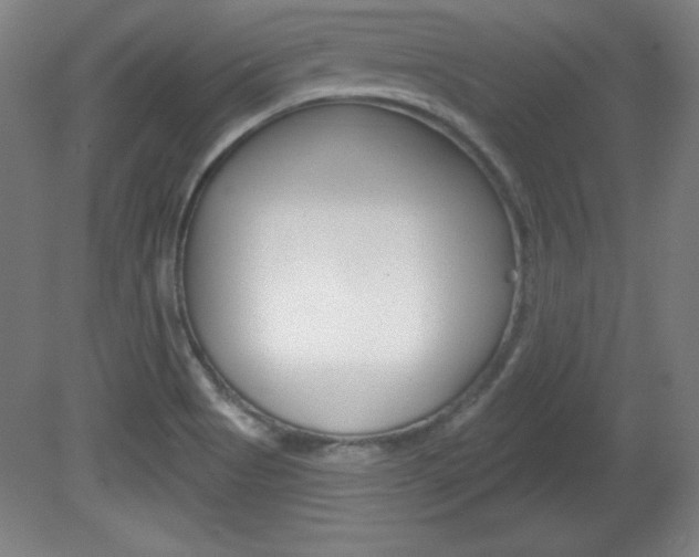 X0000081601513200701151040