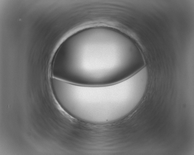 X0000081601516200701151040