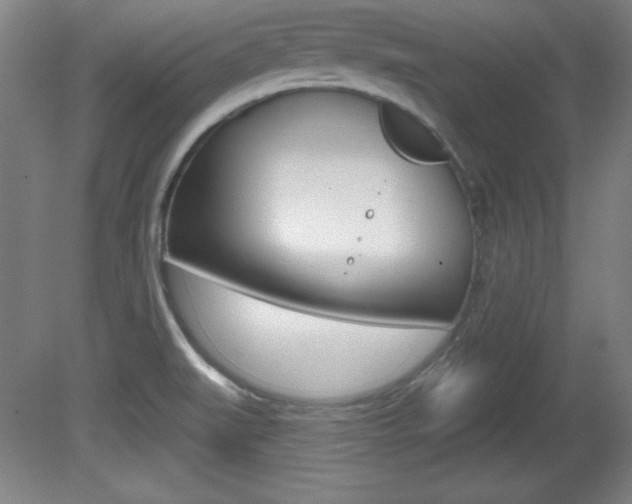 X0000081601519200701151040