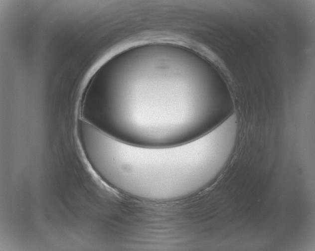 X0000081601520200701151040