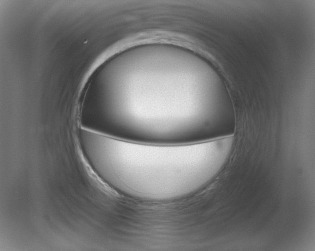 X0000081601522200701151040