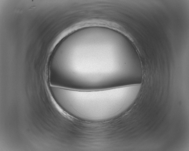 X0000081601523200701151040