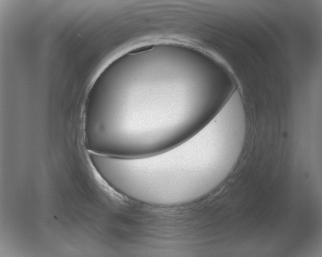 X0000081601524200701151040