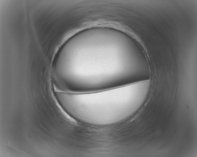 X0000081601525200701151040