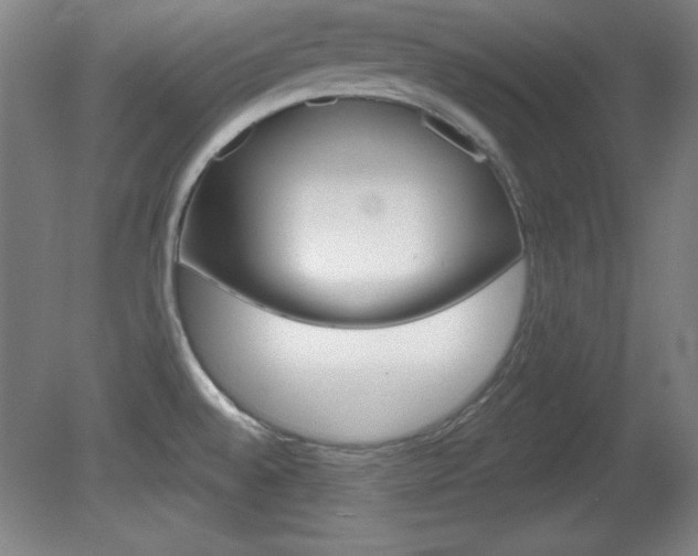 X0000081601528200701151040