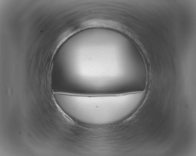 X0000081601529200701151040