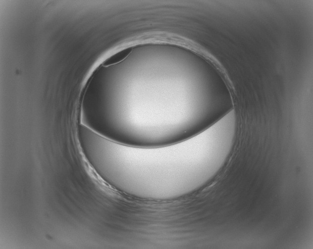 X0000081601530200701151040