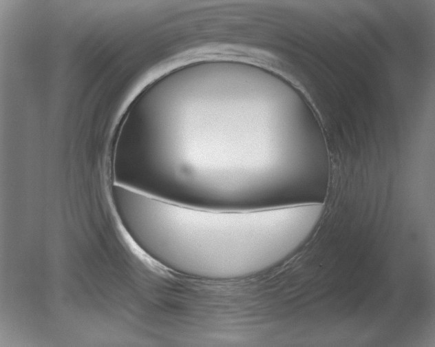 X0000081601531200701151040