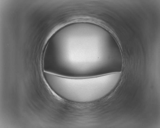 X0000081601533200701151040