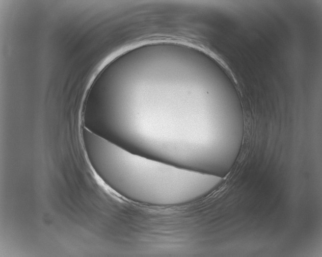 X0000081601535200701151040
