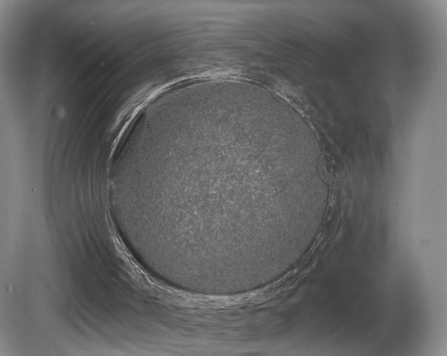 X0000081600002200701151351