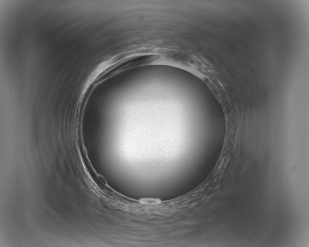 X0000081600003200701151351