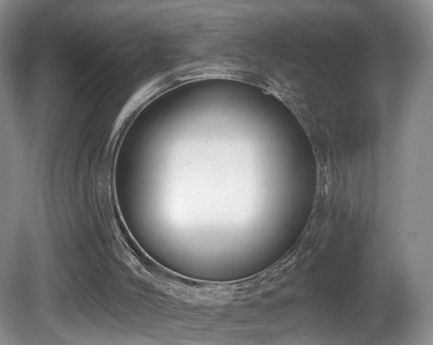 X0000081600004200701151351