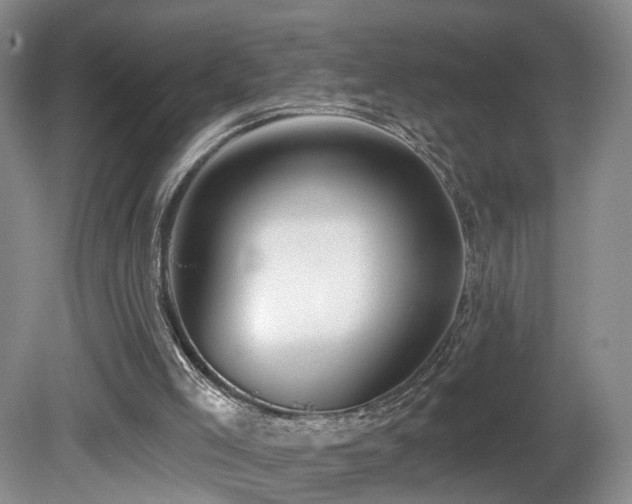 X0000081600005200701151351