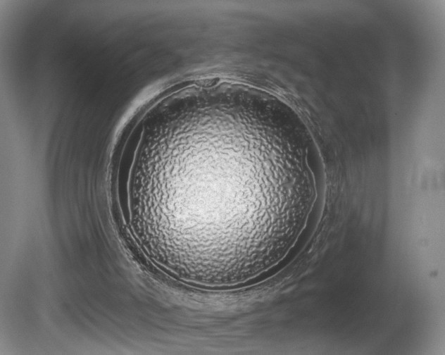 X0000081600006200701151351