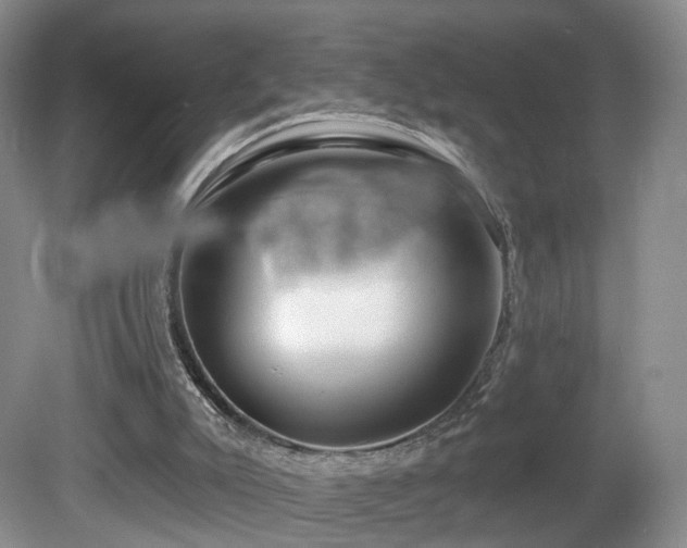 X0000081600007200701151351