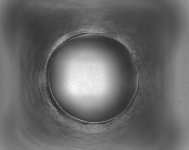 X0000081600008200701151351