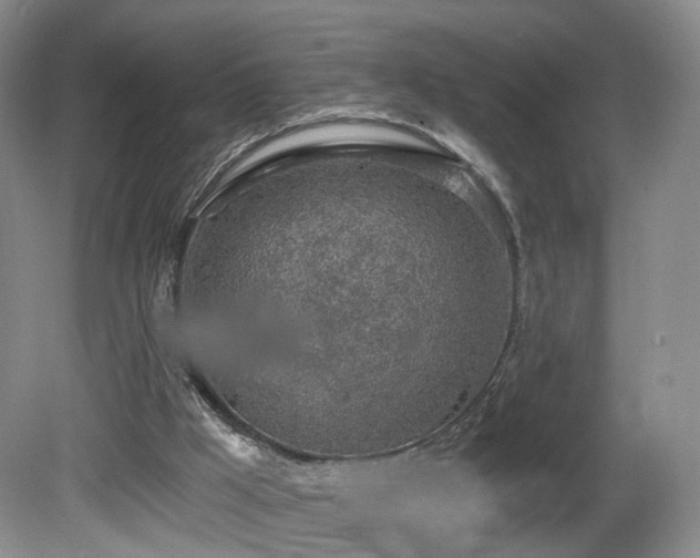 X0000081600009200701151351