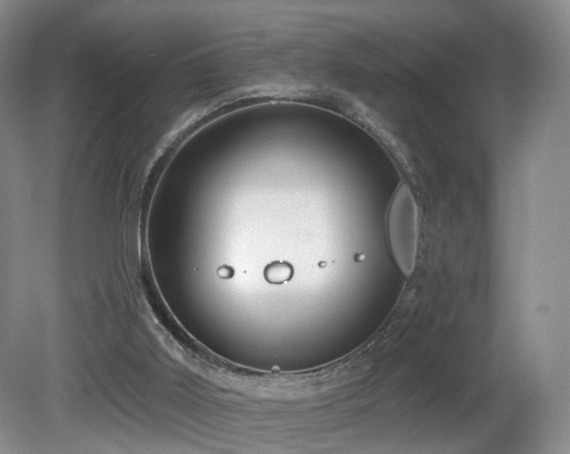 X0000081600011200701151351