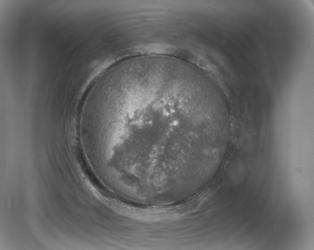 X0000081600012200701151351