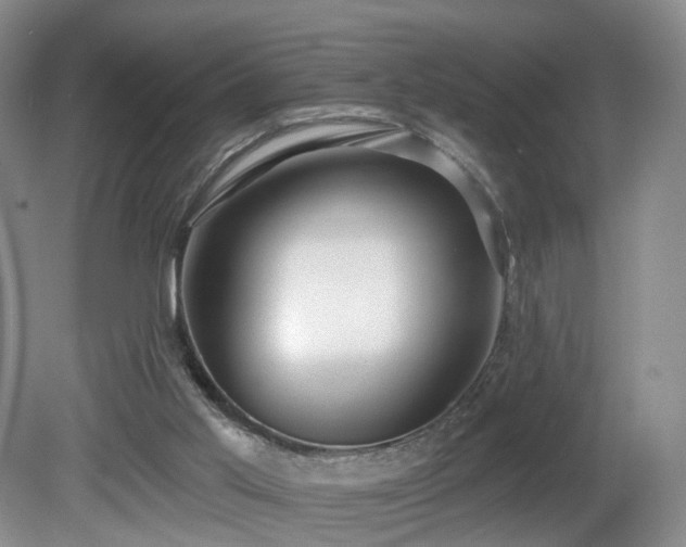 X0000081600013200701151351