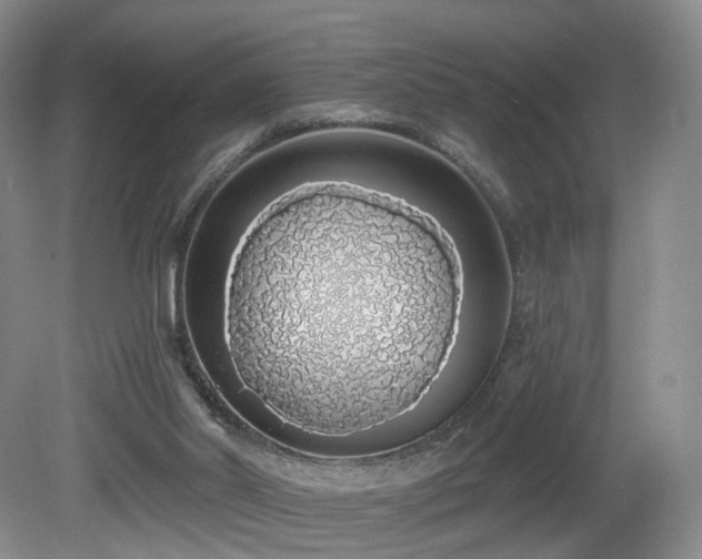 X0000081600014200701151351