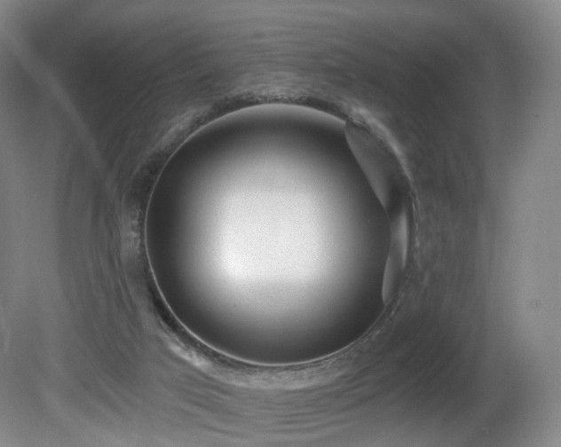 X0000081600017200701151351