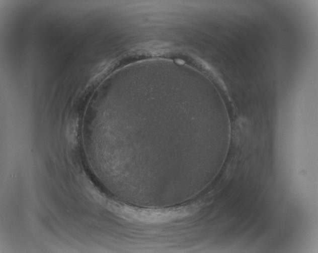 X0000081600018200701151351