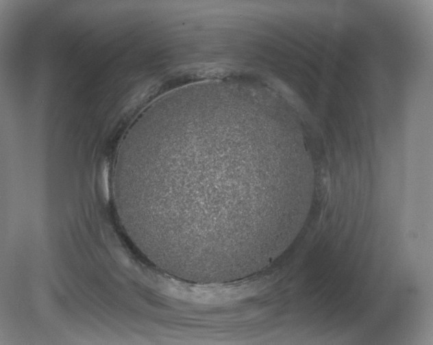 X0000081600022200701151351