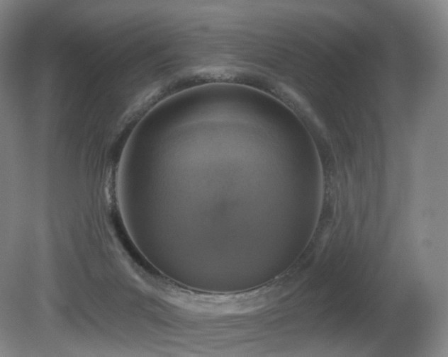 X0000081600023200701151351