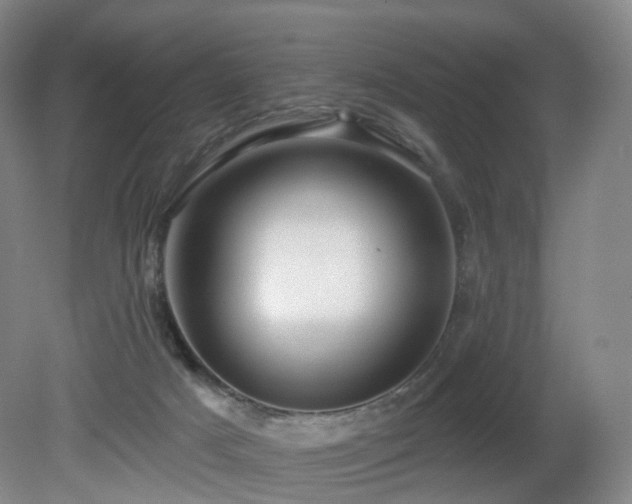 X0000081600025200701151351