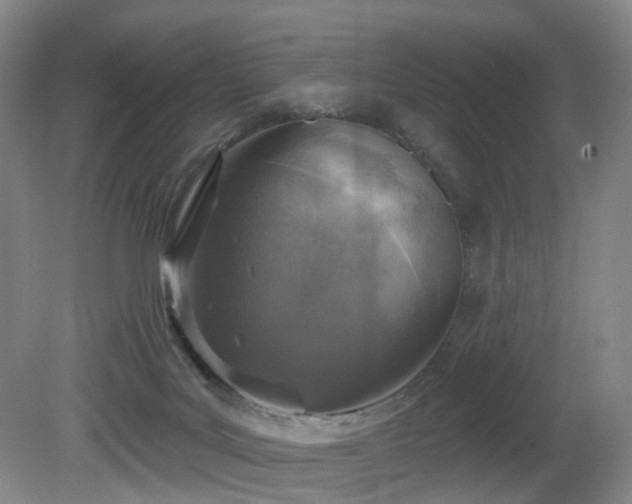 X0000081600027200701151351