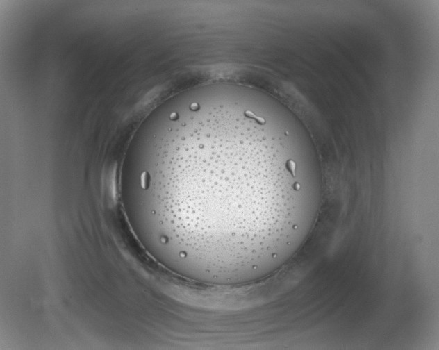 X0000081600028200701151351