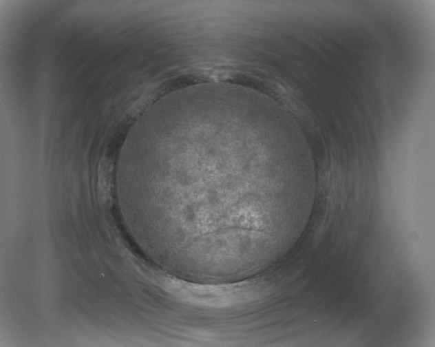 X0000081600030200701151351