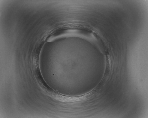 X0000081600031200701151351