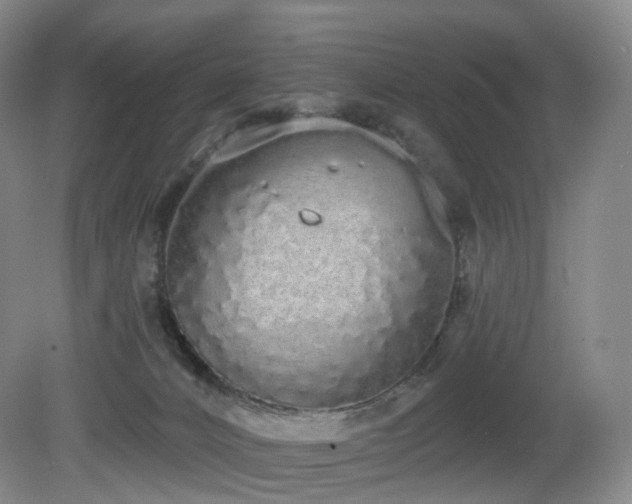 X0000081600032200701151351