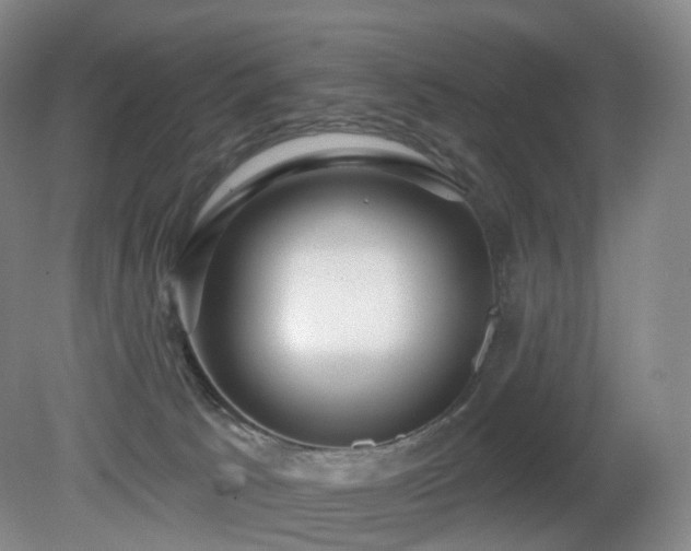 X0000081600033200701151351