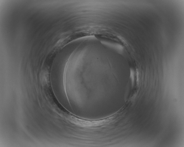 X0000081600035200701151351