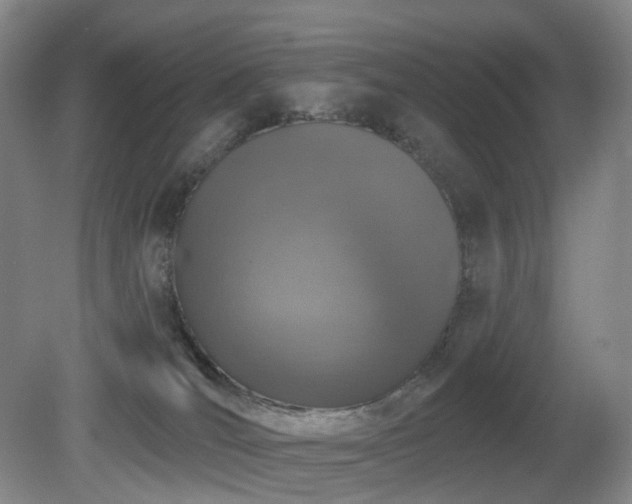 X0000081600036200701151351