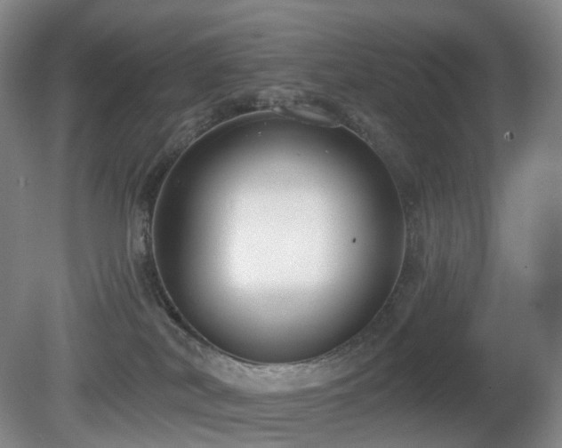 X0000081600038200701151350