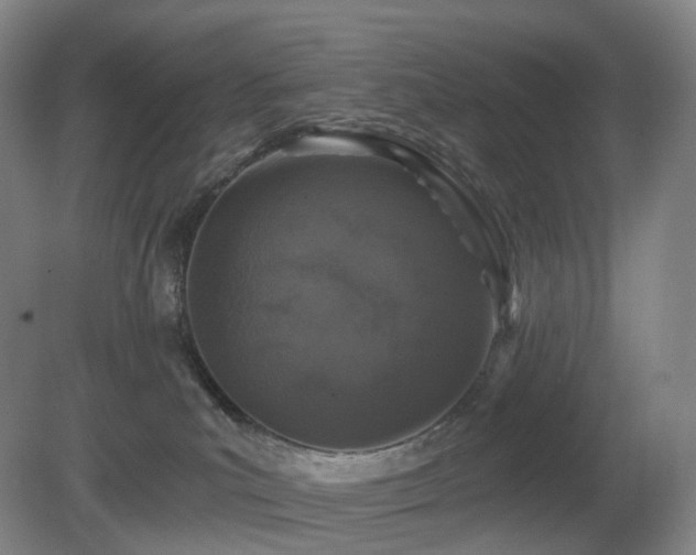 X0000081600039200701151350