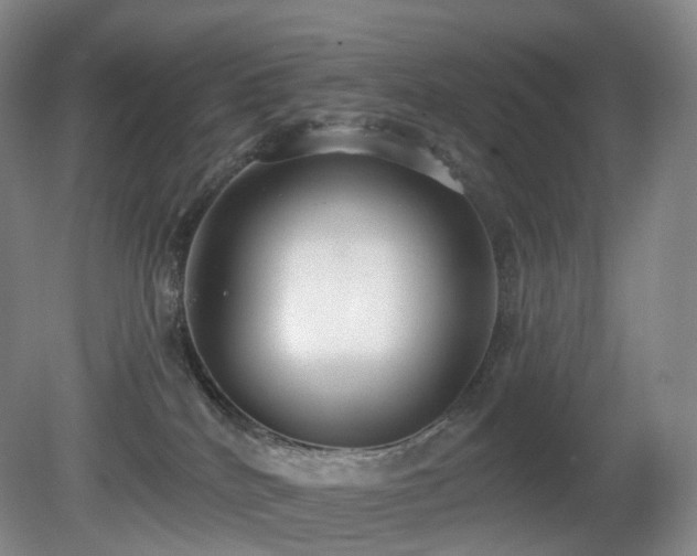 X0000081600040200701151350