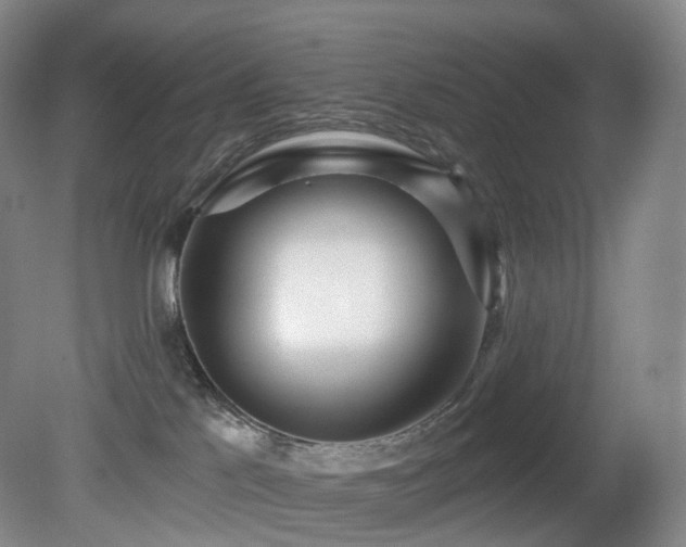 X0000081600041200701151350