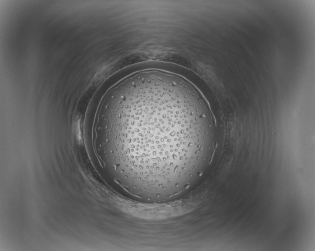 X0000081600042200701151350