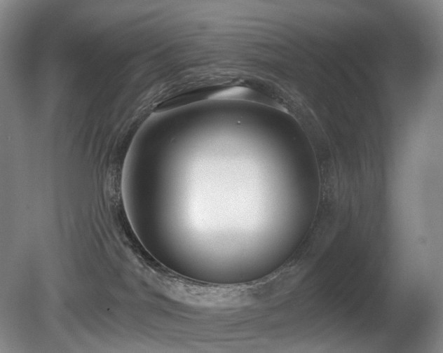 X0000081600044200701151350