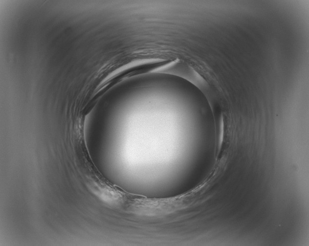 X0000081600045200701151350